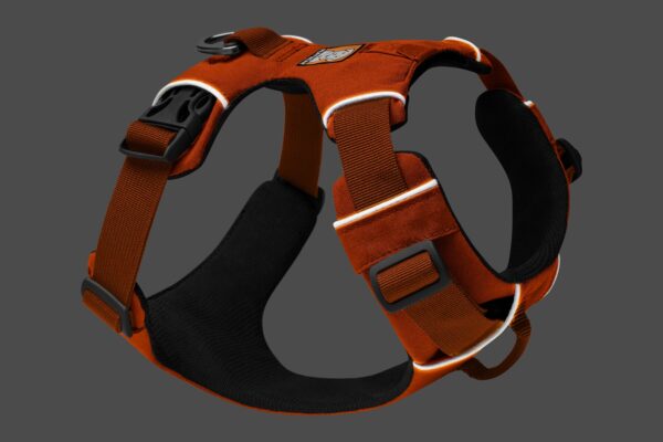 Front Range Harness - Campfire Orange - Image 5