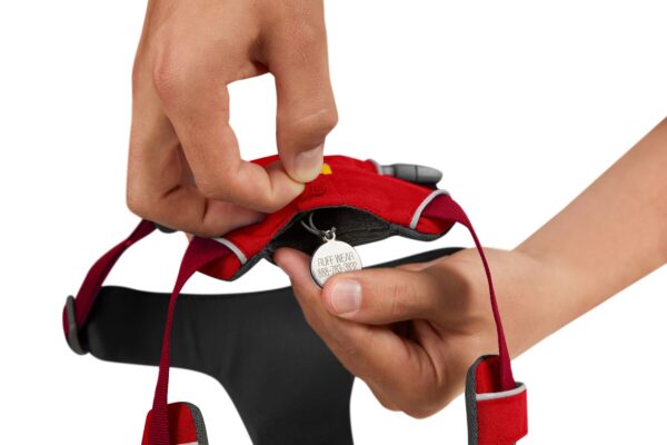 Front Range Harness - Red Sumac - Image 3