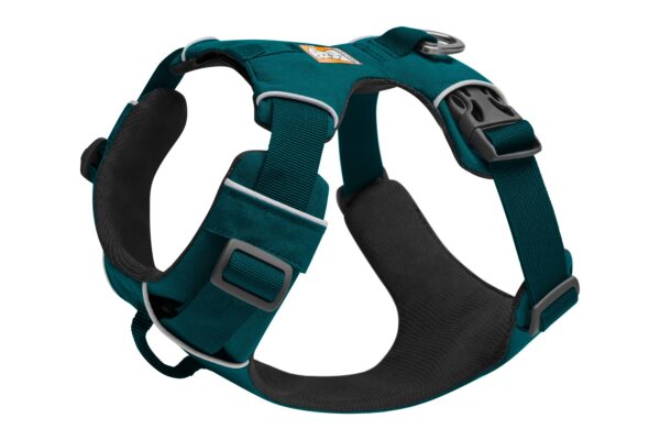 Front Range Harness - Turmalo Teal